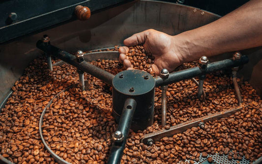 Exploring Coffee Roasting: History to Roast Levels