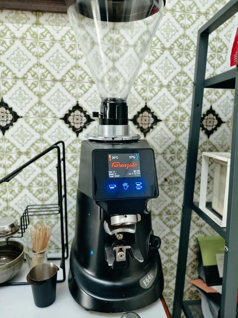 [Used, Second Hand] Fiorenzato F64E Coffee Grinder