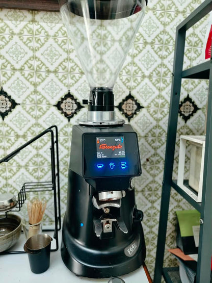 [Used, Second Hand] Fiorenzato F64E Coffee Grinder