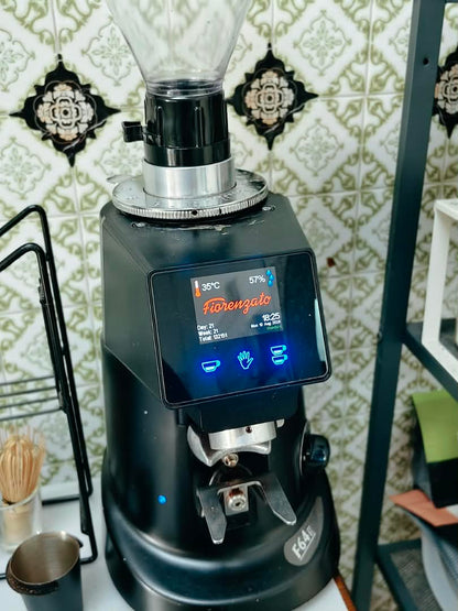 [Used, Second Hand] Fiorenzato F64E Coffee Grinder